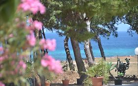 Pineta Sul Mare
